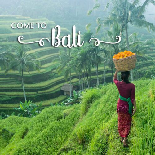 Come to Bali